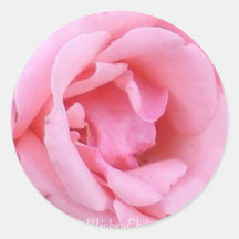 Rose choisissez le plan rapproché rose adhésif