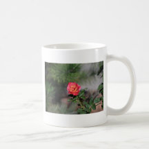 Rose Coffee Mugs