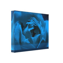 Rose de bleu toiles tendues