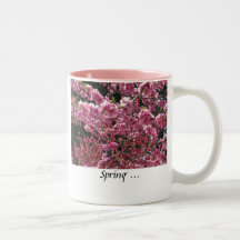 Rose de ressort mugs