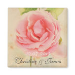 Rose de rose, aimant vintage de mariage aimants