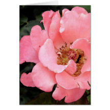 Rose de rose avec le centre jaune carte