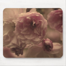 rose de sépia tapis de souris