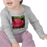 Rose de thé de Mlle All-American Beauty Hybrid 097 T-shirts