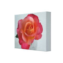 Rose de thé hybride rose avec le centre orange sur toile tendue sur châssis