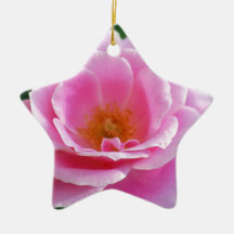 Rose divin de rose ornement