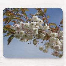 Rose et blancs de fleur d'arbre beaux tapis de souris