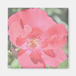 Rose Floral Art Pretty Pink Magnet
