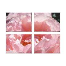 Rose Flower Garden canvas Photography prints Canvas Print