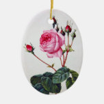 Rose flower, Pierre Joseph Redouté Ornaments