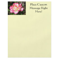Rose Flyer Template Pink White Rose Yellow Flyer