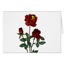 Rose for Life Greeting Cards