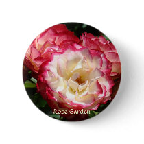 ROSE GARDEN BUTTON gifts Pink White Roses Flowers