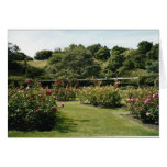 Rose Garden Greeting Cards
