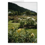 Rose Garden Greeting Card