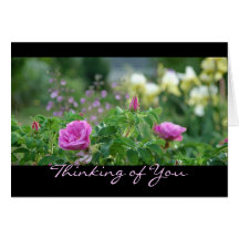 Rose Garden~ Thinking of You Cards