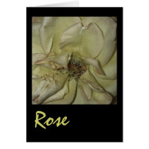 Rose Greeting Cards