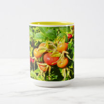 Rose hips in Jersey Mugs