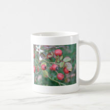 Rose Hips Mugs