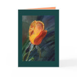Rose- I Steel Love You Greeting Cards