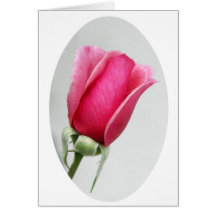 Rose in Oval Greeting Card