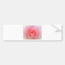 Rose in Soft Peach Bumper Stickers