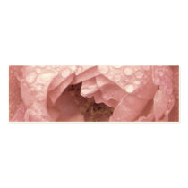 Rose in the Desert, Profile Card Business Card