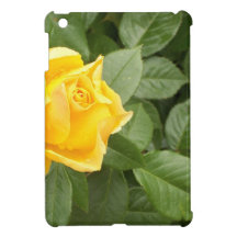 Rose jaune avec le feuille vert