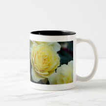 Rose jaune DSC3677 Tasses