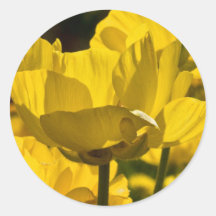 Rose jaune rétro-éclairé adhésifs ronds
