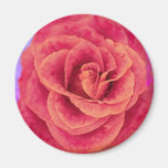 Rose Magnet