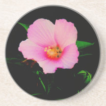 Rose Mallow Coaster