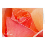 Rose Mother's Day Card cards