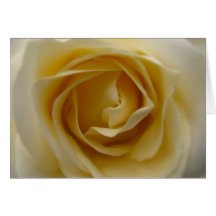 Rose Note Card