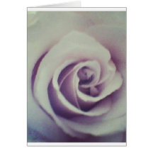 Rose notecards
