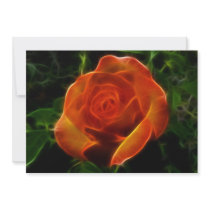 Rose of Fire