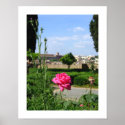 Rose on a Hilltop posters