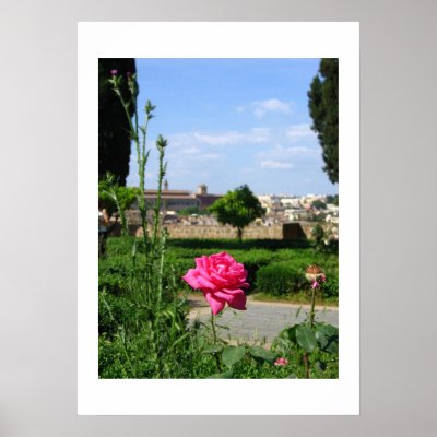Rose on a Hilltop Poster by Lsketch42