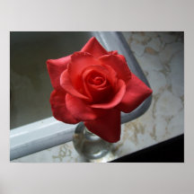 Rose on Vintage Photography Poster