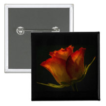 Rose orange et jaune d'insigne de bouton - badges