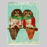 Rose Owls Blue Vintage Postcard postcards