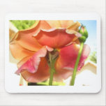 rose,pastel mouse pad