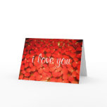 rose petal love cards