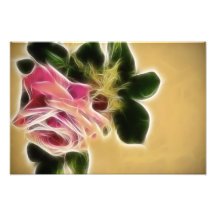 Rose Photo Fractal