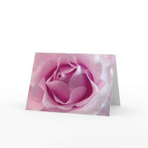 Rose Pink greeting card