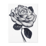Rose Postcard