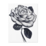 Rose Postcard