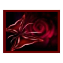 rose postcard