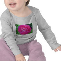 rose,pretty pink rose shirts
