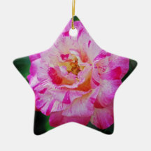 Rose rayé de rose de sucrerie décorations pour sapins de noël
